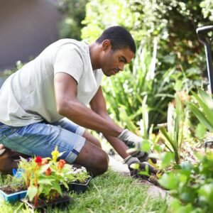 Gardening Service